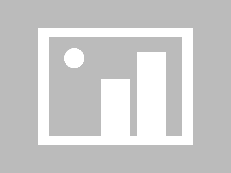 爱游戏平台-特色战术：各队独门绝技一网打尽，特种部队战术队形